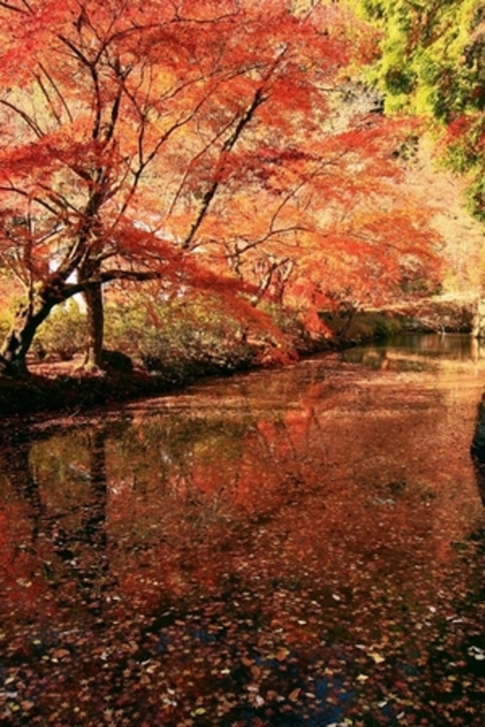 松平東照宮