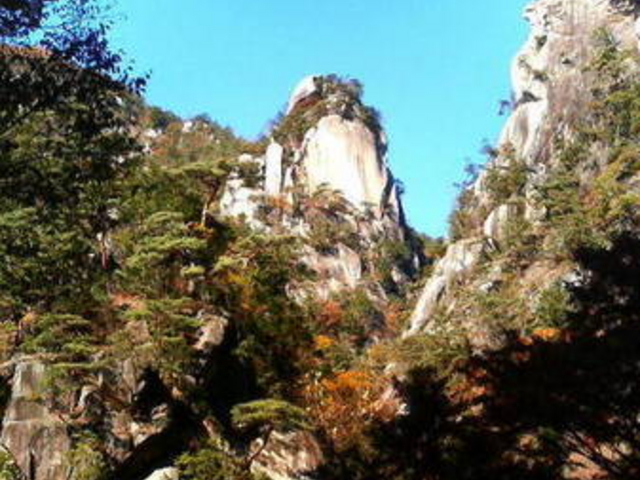 ���勬���[�v�E�F�C�p�m���}��