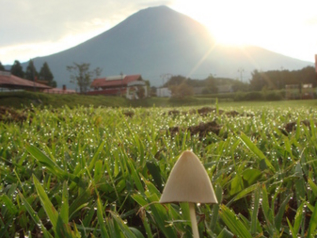 �x�m�~���N�����h