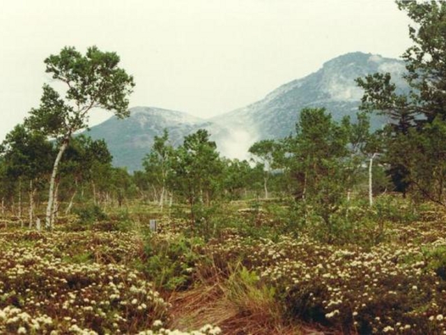 ���������R�T���H