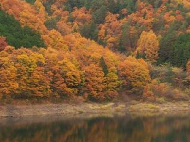 �H�_�����r