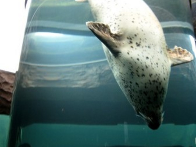 ���R������