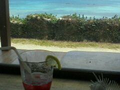 ̃AWAn[uXg@JtF邭܂ւ̓eʐ^1