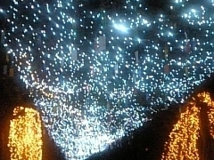 ݂Ă̌aꍂr[ւ̓eʐ^1