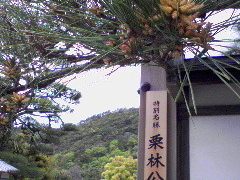 ��������̌I�ь����ւ̓��e�ʐ^1