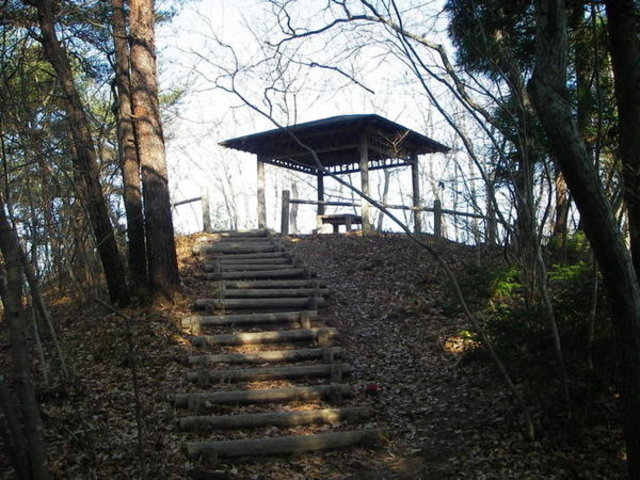 ���׋S����̐[�R���R�ώ@�H�̓��e�ʐ^1