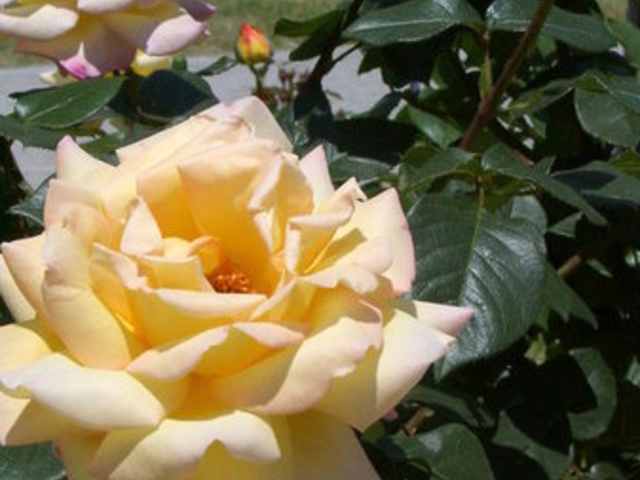 �~�������΂牀