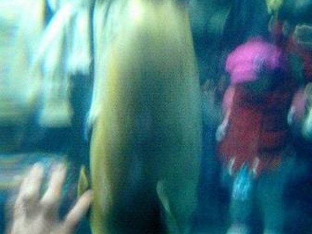 ���R������