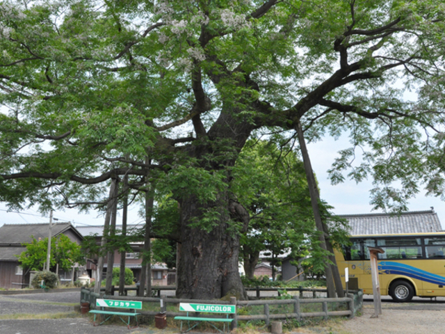 newton̋Օ̑Z_̓eʐ^1