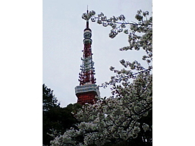 �Ō����y�ё��㎛�����̍�