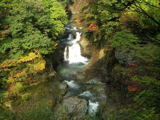 �P�l�\����