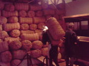 ݂񂮂݂₿搶̏ėjق̓eʐ^1