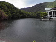 ݂񂮂݂₿搶̔u΂̓eʐ^1