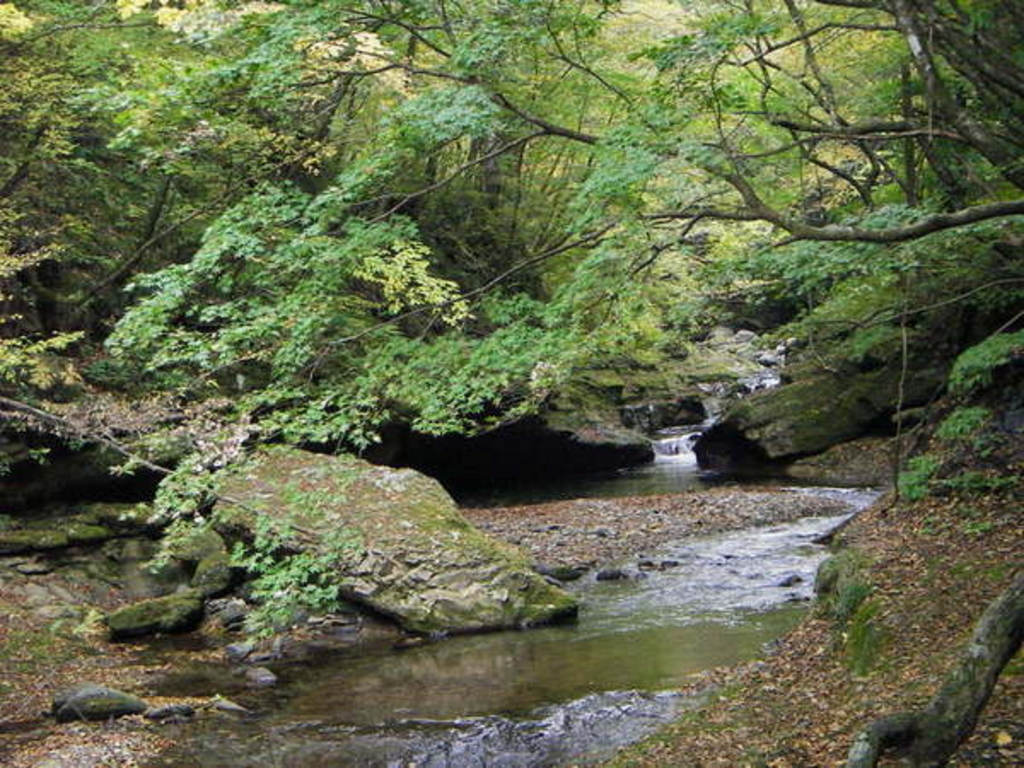 二口渓谷 アクセス 営業時間 料金情報 じゃらんnet