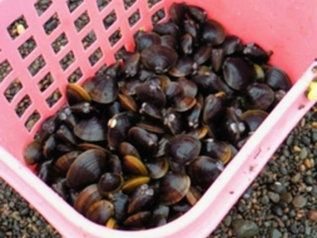 񂵂񂳂̒ߌ΂̓eʐ^1