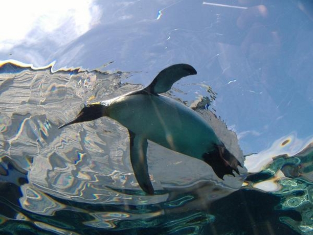 ���R������