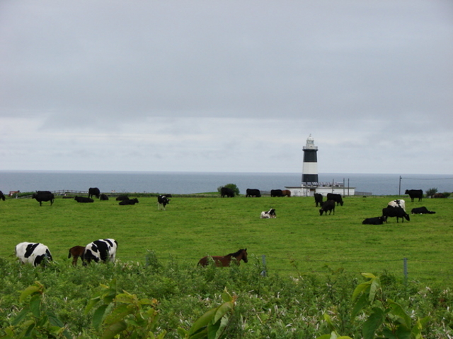 �\�斦�C��