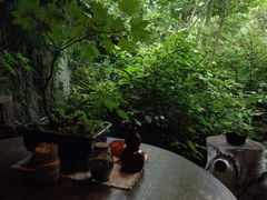 ݂݂킳̂ΏEV@ւ̓eʐ^1