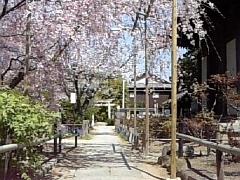 ミサリさんの天寧寺（広島県尾道市）の投稿写真1