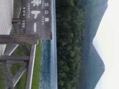 �I���l�g�[�̎ʐ^1