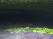 qQ_}̊⑺cqJSPn̓eʐ^1