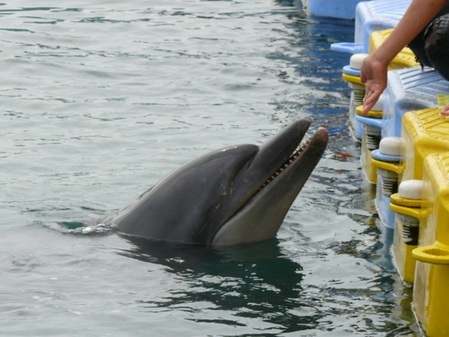 ���{�h���t�B���Z���^�[