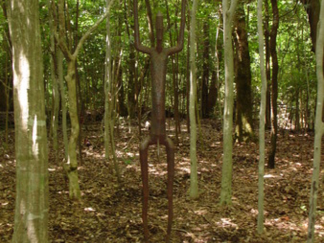 �������������A�[�g�̐X