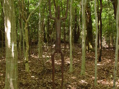 �����邳��̎������������A�[�g�̐X�ւ̓��e�ʐ^1