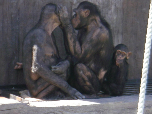 ���R������