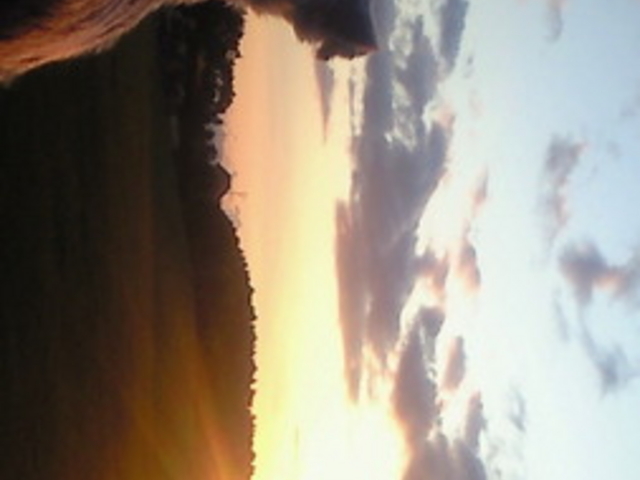 ����l�G�̓m����