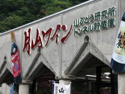 ₳̌RC@RԂǂ̓eʐ^1