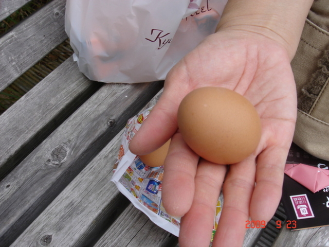 �_��n�����򂽂܂�