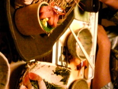 ``̂ʂ̏hӂւ̓eʐ^1