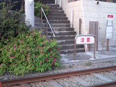 ̂̂̃A}tBCEfEZ[ւ̓eʐ^1