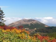 KENJI̔֒ȃXJCC̓eʐ^1