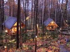 `bs[̃VbsO[hujOeXvւ̓eʐ^1