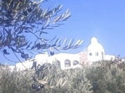 bN^̓̉w I[u TI[u̓eʐ^1