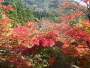 傤񂳂̒[@V䞠~̓eʐ^1