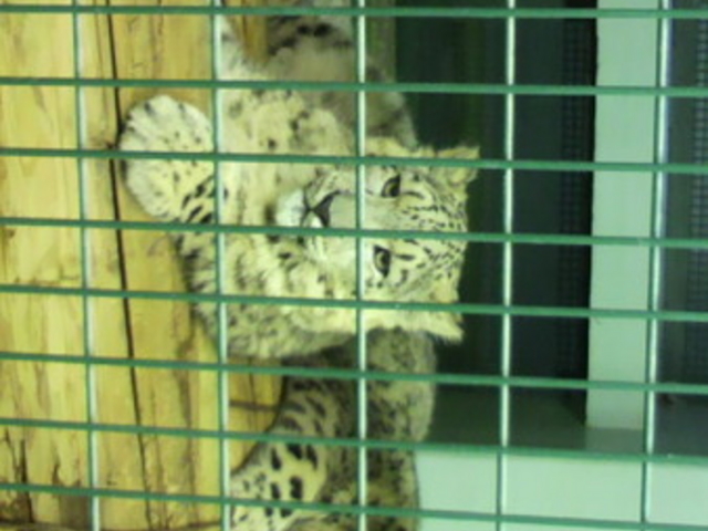 �~�R������