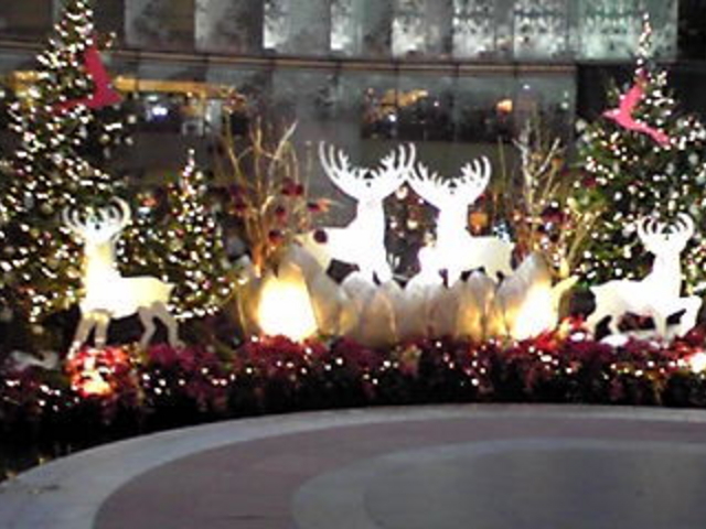 �L���i���V�e�B����