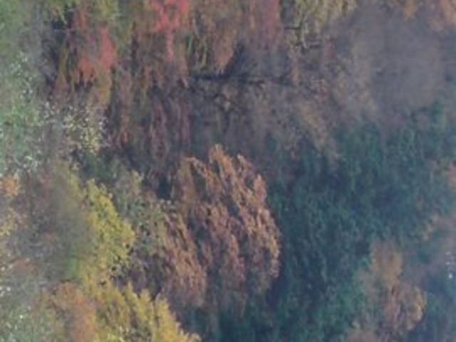 �������݂����C��