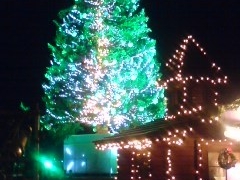 ���X�ԃ����K�q�ɂ̎ʐ^1