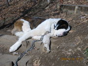 ̂̂̎Rt[Z^[EnCW̑̓eʐ^1