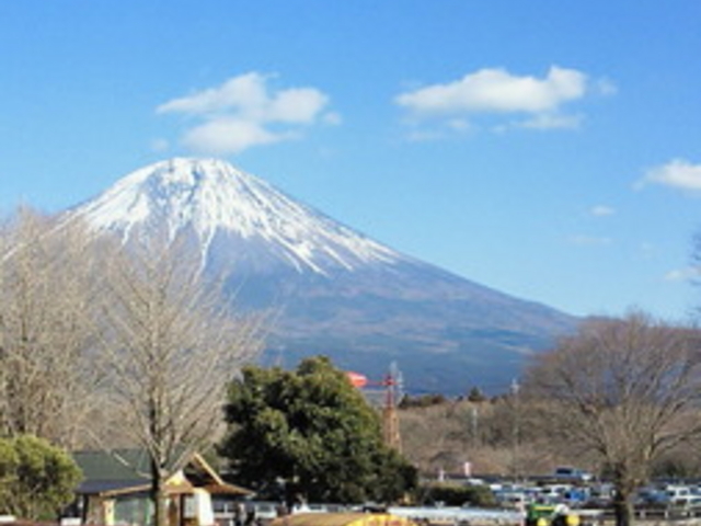 �܂����̖q��