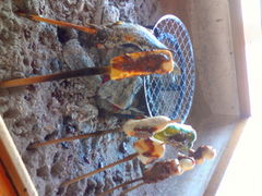 ��������̍��X�c�y�̗��ւ̓��e�ʐ^1