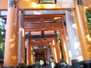 ݂Ȃ̈אݔˑ{Ɓ@ʓ̓eʐ^1