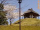 KAZUさんの城下町小幡の投稿写真1