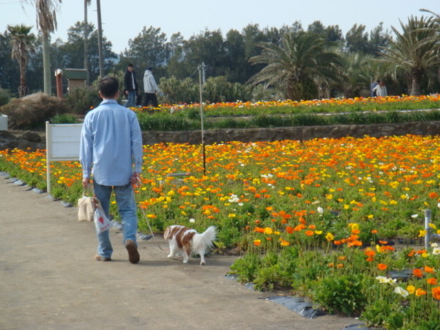 ꂿ񂳂َ̊Rt@~[p[Ñ|s[̓eʐ^1