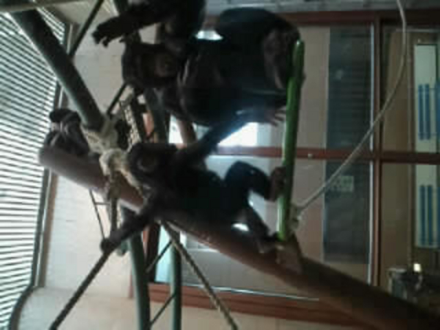 ���R������