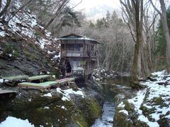 �Ӂ[���񂳂�̏����Y���������ւ̓��e�ʐ^1